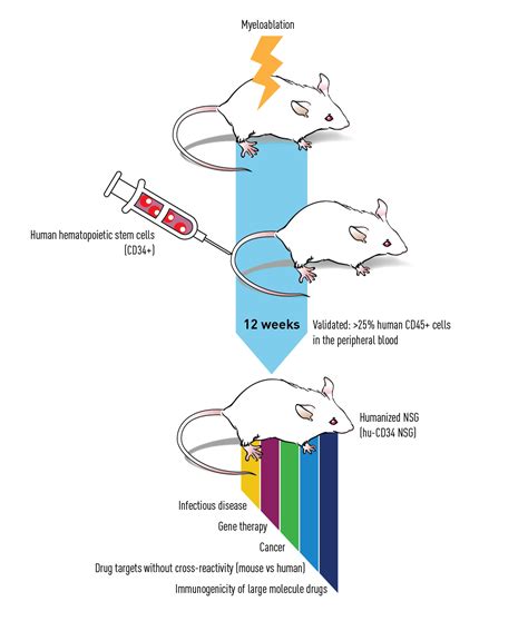 blood analyzer laboratory mouse|murine blood test for mouse.